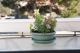 Dialinas Apartments
