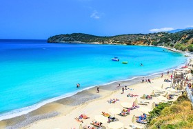 Anemone Seaside Traditional Homes