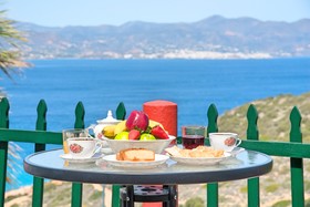 Anemone Seaside Traditional Homes