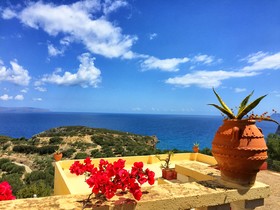 Anemone Seaside Traditional Homes
