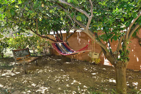 Anna's Sea House