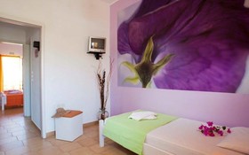 Nikolas Suites