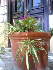 Villa Galini