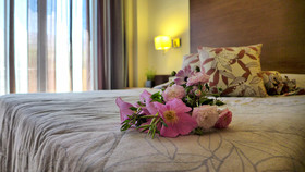 Sofia Resort
