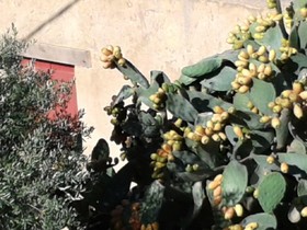 Tsikalaria Traditional Stone House