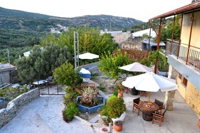 Villa Olive Tree