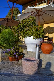 Villa Olive Tree