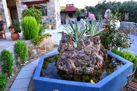 Villa Olive Tree