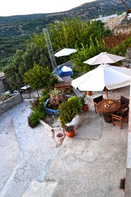 Villa Olive Tree
