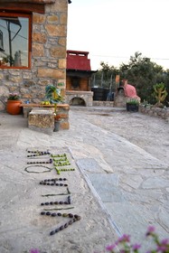 Villa Olive Tree