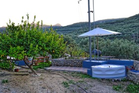 Villa Olive Tree