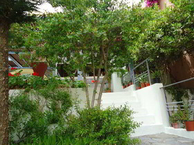 Aphea Village