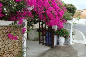 Lefka