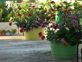 Lefka
