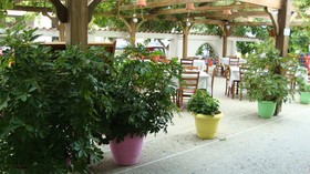 Lefka