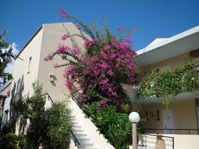 Selini Suites