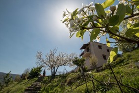 Aori Hillside Villa