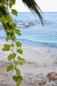 Galaxy Suites Boutique Resort