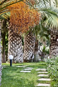 Galaxy Suites Boutique Resort