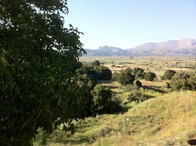 Dionyssos