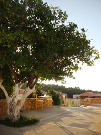 Loutra Resort