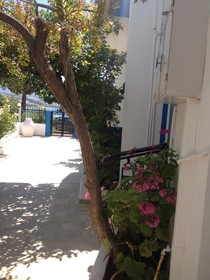 Cretasun Apartments