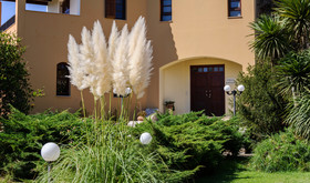Iason Villas