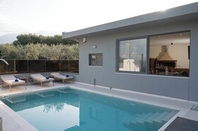 Olive Tree