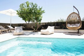 Olive Tree