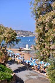 Alexander Beach Hotel & Village Resort
