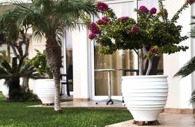 Ammos Apartments & Suites