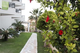 Ammos Apartments & Suites