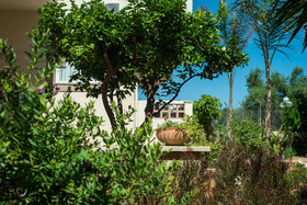 Le Palme
