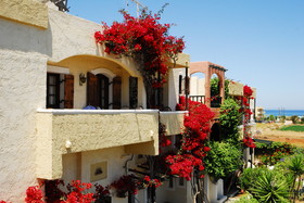Mila Malia Studios Hotel
