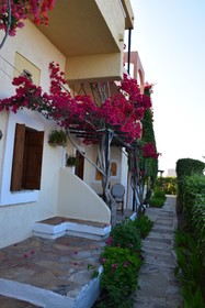 Mila Malia Studios Hotel