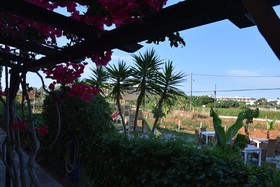 Mila Malia Studios Hotel