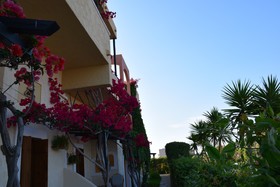 Mila Malia Studios Hotel