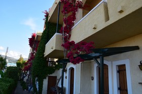 Mila Malia Studios Hotel