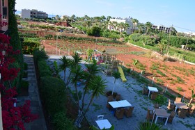 Mila Malia Studios Hotel