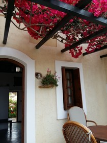 Mila Malia Studios Hotel