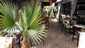 Mila Malia Studios Hotel