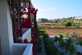 Mila Malia Studios Hotel