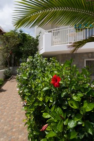 Melissa Apartments