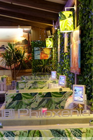 Philoxenia Hotel & SPA