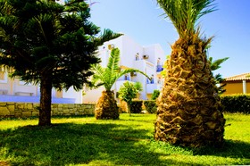 Yiannis Manos