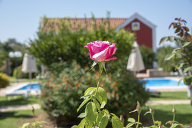 Athousakis Village