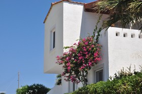 Hotel Castri Village