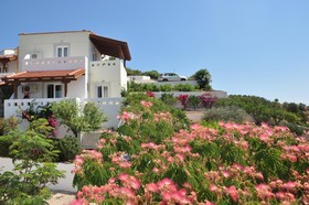 Hotel Castri Village