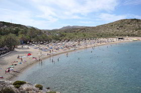 Marina Village