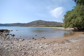 Marina Village